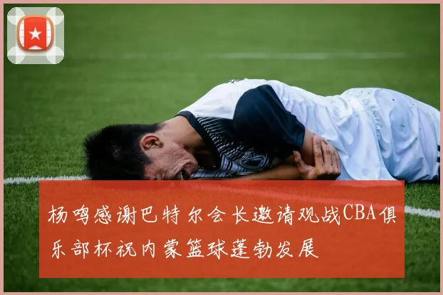 杨鸣感谢巴特尔会长邀请观战CBA俱乐部杯祝内蒙篮球蓬勃发展